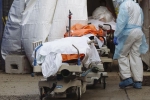 USA Coronavirus, USA Coronavirus latest status, usa coronavirus deaths reaches 9 lakhs, Usa coronavirus news