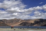 China, Pangong Lake, india orders china to vacate finger 5 area near pangong lake, Pangong lake