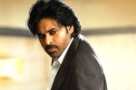 Thaman, Vakeel Saab collections updates, vakeel saab first day collections, Vakeel saab review Thaman, Vakeel Saab collections updates, vakeel saab first day collections, Vakeel saab review