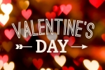 Pennsylvania Upcoming Events, The Valentines Day Philly 2019 in JALSA, the valentines day philly 2019, Jalsa