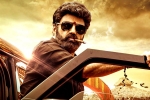 Veera Simha Reddy numbers, Veera Simha Reddy breaking updates, veera simha reddy sankranthi weekend collections, Varalaxmi sarathkumar