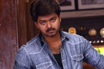 Atlee, Vijay Jawan cameo, vijay in a cameo, Gauri khan