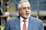 Vijay Mallya's Unmissable Post after RCB reaches Final