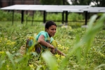 villages in punjab, punjab, villagers in punjab relying more on nris for development than on politicians, Female students