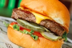 Wahlburgers in Chicago, Chicago news, mark wahlberg s burger chain to chicago, Manchester united