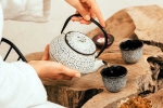 Wellness Tea disadvantages, Wellness Tea new breaking, can wellness tea help with weight loss and belly fat, Metabolism