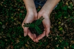 world earth day, earth, what can you do to save earth, Plant based diet