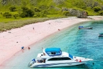Pink Beach in Indonesia best, Pink Beach in Indonesia, which pink beach should you visit in indonesia, Fan id Pink Beach in Indonesia best, Pink Beach in Indonesia, which pink beach should you visit in indonesia, Fan id