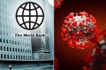 World Bank during pandemic, World Bank coronavirus, world bank deploys 157 billion usd to battle coronavirus pandemic, David malpass