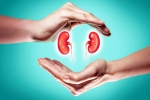 World Kidney Day 2025, World Kidney Day 2025, world kidney day 2025 theme and health tips, Dairy product