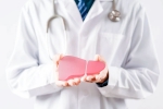 World Liver Day 2025 tips, Liver Overloaded, world liver day 2025 is your liver overloaded, Latest news