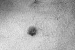 spider on Mars, NASA, yards long spider on mars nasa, Nasa scientists