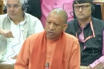 Yogi Adityanath Vs Mamata Banerjee, Mamata Banerjee, yogi adityanath hits back at mamata banerjee, Maha kumbh