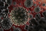 coronavirus, coronavirus, anti parasitic drug successful in killing coronavirus in 48 hours study, Ivermectin