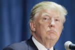 Repulicans, billionaire celebrity, donald trump accepts trailing, American presidential elections