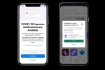 Apple, exposure notification express, apple releases ios 13 7 with covid 19 exposure notifications, Apple ios 16