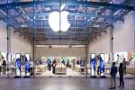 Apple, iOS developer, apple launches ios app design development accelerator in bengaluru, Ios developer