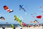 California Upcoming Events, California Current Events, bayvp kite flying uttarayan 2017, Ji min sha