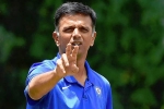 Team India, Rahul Dravid, rahul dravid to lead team india as head coach, Sourav ganguly