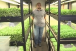 next level of micro farming, Two Mesa Men takes micro farming, two mesa men takes micro farming to the next level, Smoothies