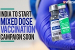 mixed dose vaccination latest, mixed dose vaccination research, india to start mixed dose vaccination campaign soon, Ebola