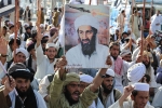 Bin Laden new updates, Bin Laden death updates, bin laden continues to mobilize jihadists ten years after his death, Islamists Bin Laden new updates, Bin Laden death updates, bin laden continues to mobilize jihadists ten years after his death, Islamists