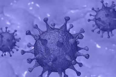 Israel Reports a New Variant of Coronavirus