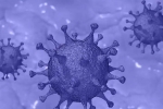 Israel Coronavirus deaths, Israel Coronavirus variant, israel reports a new variant of coronavirus, Israel coronavirus