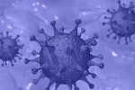 Israel Coronavirus deaths, Israel Coronavirus Health Ministry, israel reports a new variant of coronavirus, Coronavirus vaccination