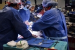 David Bennett heart transplant new updates, David Bennett in Maryland, us surgeons transplant pig heart into a human patient, Transplants