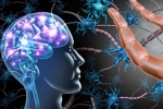 Guillain-Barre syndrome in India, Guillain-Barre syndrome latest disease, 59 diagnosed with rare brain condition in pune, Pune