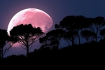 super pink moon, supermoon, april s super pink moon to rise today biggest of the year, Supermoon