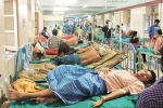 low iron levels in blood, low iron levels lead to dengue, people with low iron levels in blood likely to transmit dengue, Anaemia