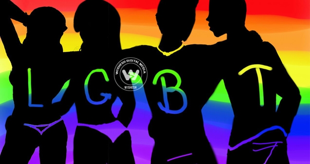 BJP against decriminalization of gay sex},{BJP against decriminalization of gay sex