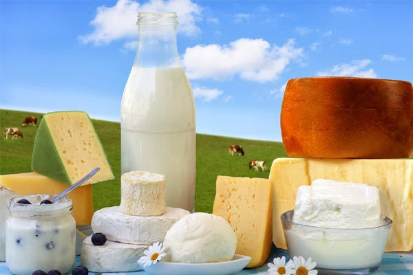 High Fat Dairy Products Lowers the risk of type 2 diabetes?},{High Fat Dairy Products Lowers the risk of type 2 diabetes?