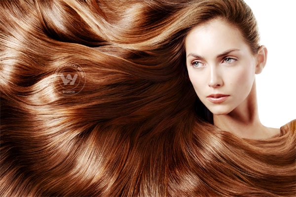 Make that blowout last a week},{Make that blowout last a week