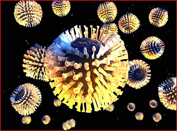 India discloses cure for Horrifying deadly virus!