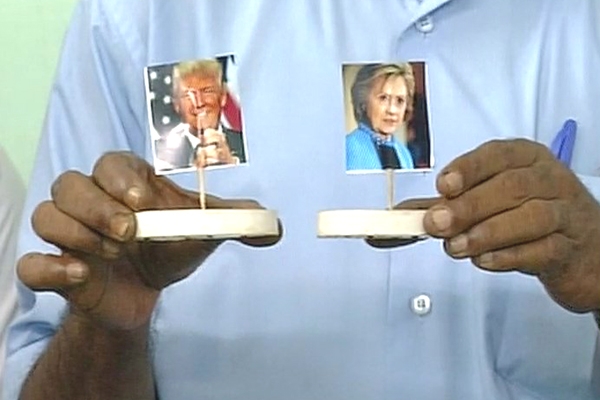 Chanakya the fish predicts American elections