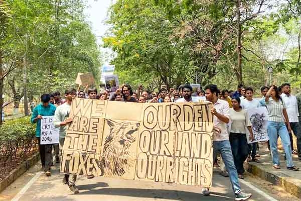 All about Hyderabad University land row Controversy