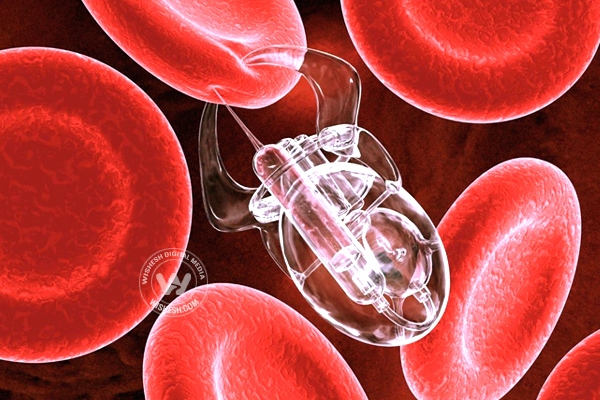 India into select club of countries for Nano medicine breakthrough},{India into select club of countries for Nano medicine breakthrough