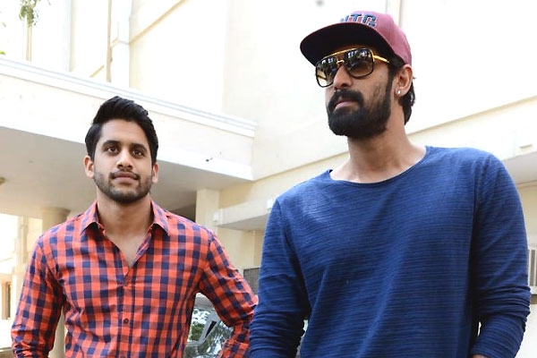 Rana And Naga Chaitanya In Talks For A Multi-Starrer