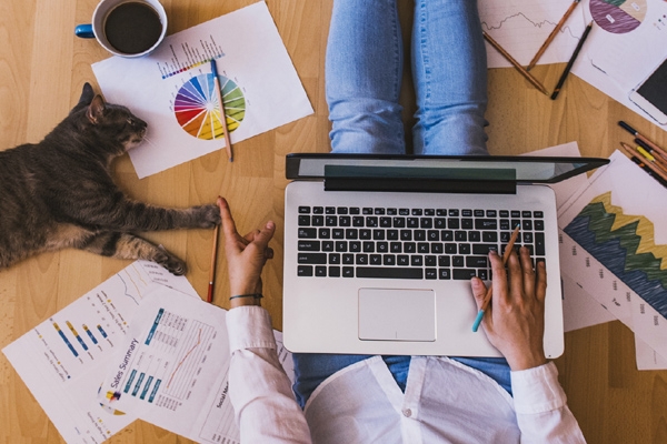 Search for Work from Home Jobs Rises 442% from February to July 2020