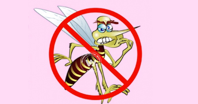 Beat Dengue!},{Beat Dengue!