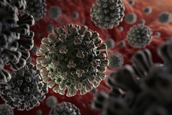 Anti-Parasitic Drug Successful In Killing Coronavirus In 48 Hours: Study