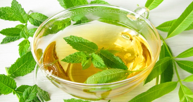 Apple Mint Toner for Healthy skin},{Apple Mint Toner for Healthy skin