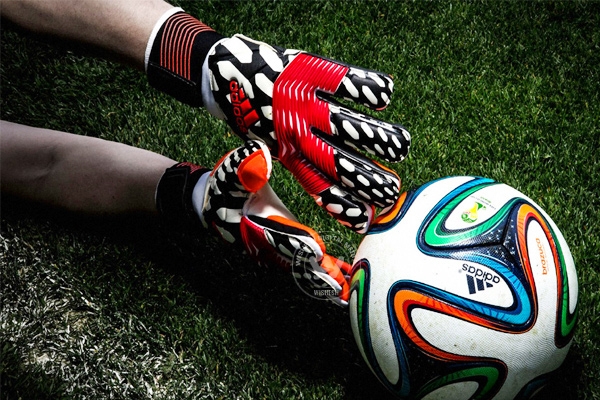 Wonder goalies of World Cup 2014 so far},{Wonder goalies of World Cup 2014 so far