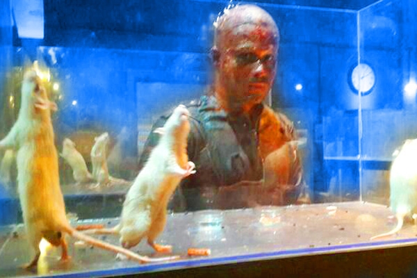 Emraan's identity guaranteed in Mr.X},{Emraan's identity guaranteed in Mr.X