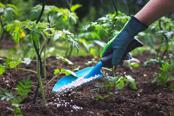 Indian Scientists' Technology to Convert Waste into Fertilizer
