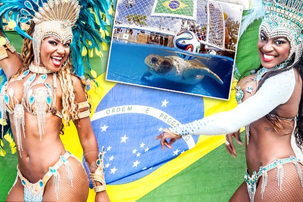 3 things you will be seeing for the first time in this World Cup 2014},{ 3 things you will be seeing for the first time in this World Cup 2014