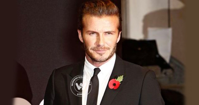 David Beckham to be knighted?},{David Beckham to be knighted?